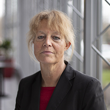 Marijke Malsch LL.M.