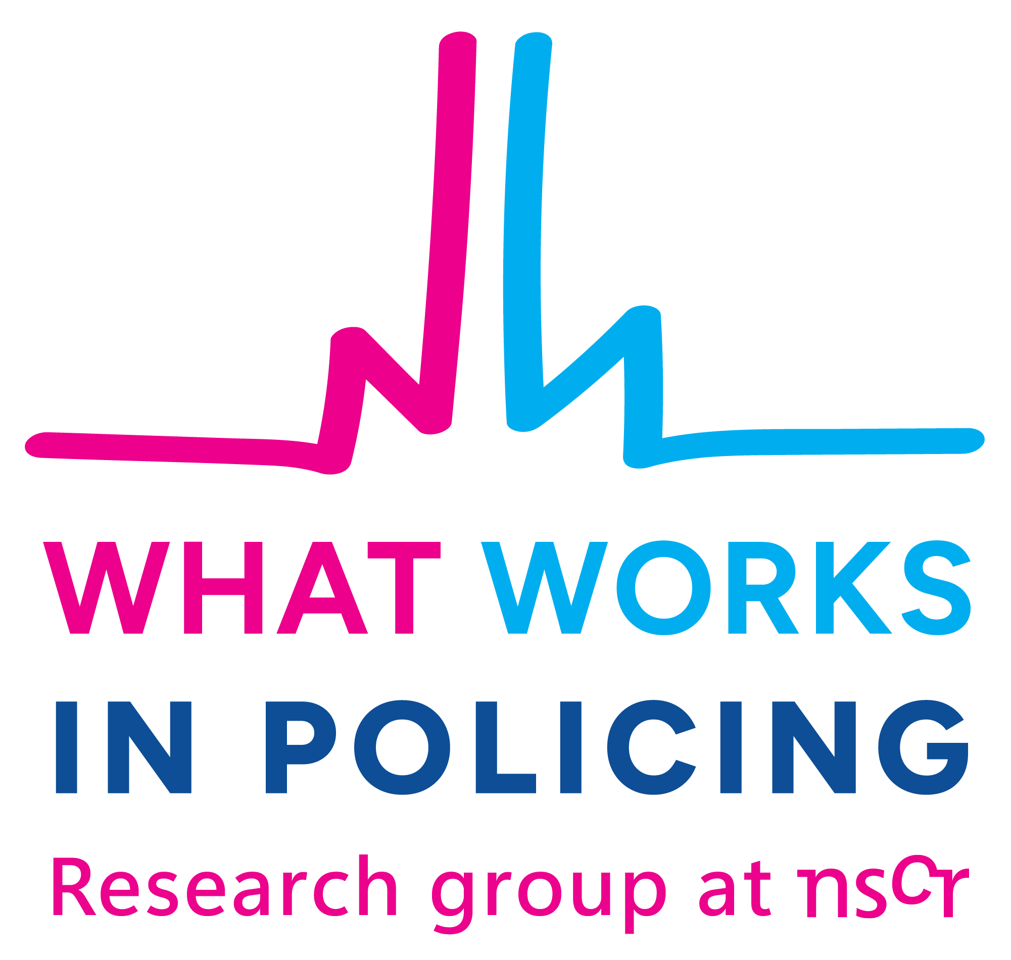 Logo of research group of NSCR What Works in Policing - Evidence-based Policing