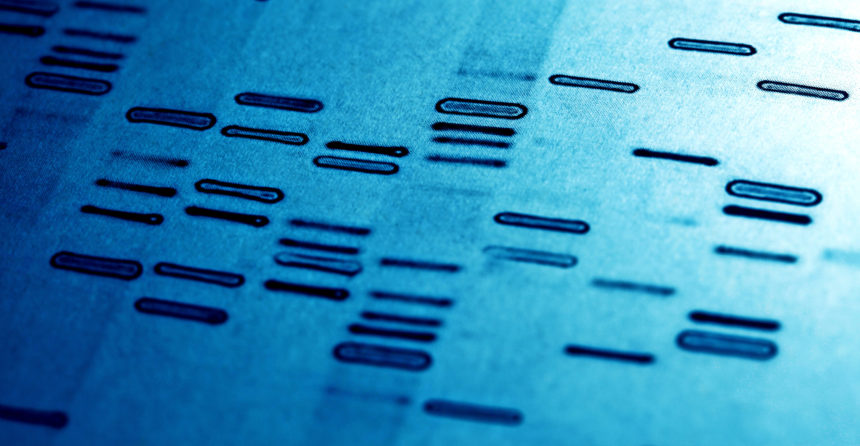 DNA fingerprints