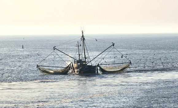 ‘Fishing in Troubled Waters’: impuls voor onderzoek naar milieucriminaliteit in Nederland